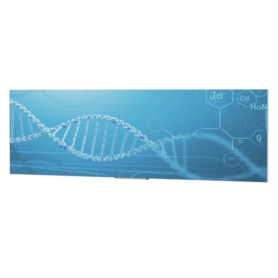 Sole Source 1 GB DRAM memory module with 2 x 512 MB configuration